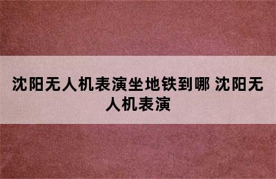 沈阳无人机表演坐地铁到哪 沈阳无人机表演